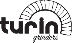 Turin logo